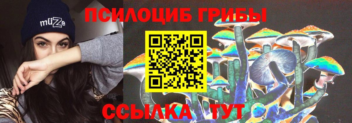 Удомля  Галлюциногенные грибы прущие грибы  Вход с VPN 